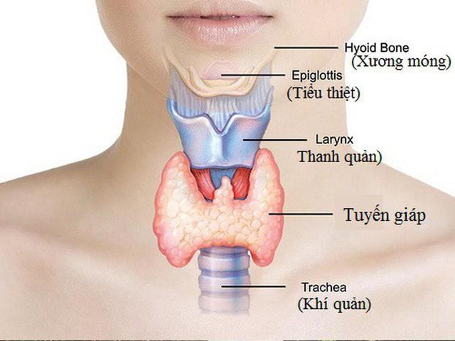 9 dấu hiệu cảnh báo bệnh tuyến giáp, cần đi khám sớm - Ảnh 2.