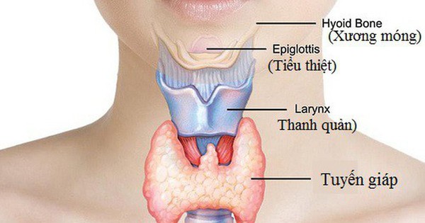 9 dấu hiệu cảnh báo bệnh tuyến giáp, cần được khám sớm