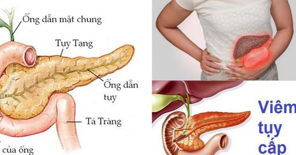 Người đàn ông ở Phú Thọ nhập viện gấp vì mỡ máu cao gấp 50 lần, bác sĩ khuyến cáo từ bỏ ngay thói quen này