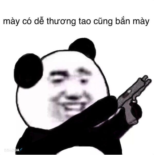 hình ảnh meme gấu trúc weibo