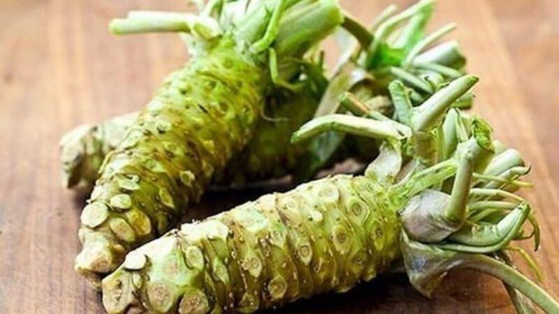 Wasabi là gì? Lợi ích của việc ăn Wasabi là gì? 