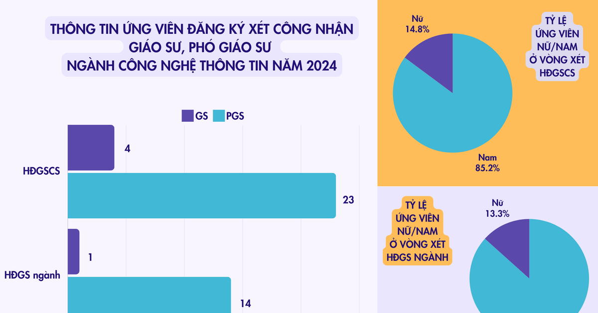  Tỷ lệ ứng viên GS, PGS bị loại nhiều nhất, Chủ tịch HĐGS ngành CNTT chia sẻ 