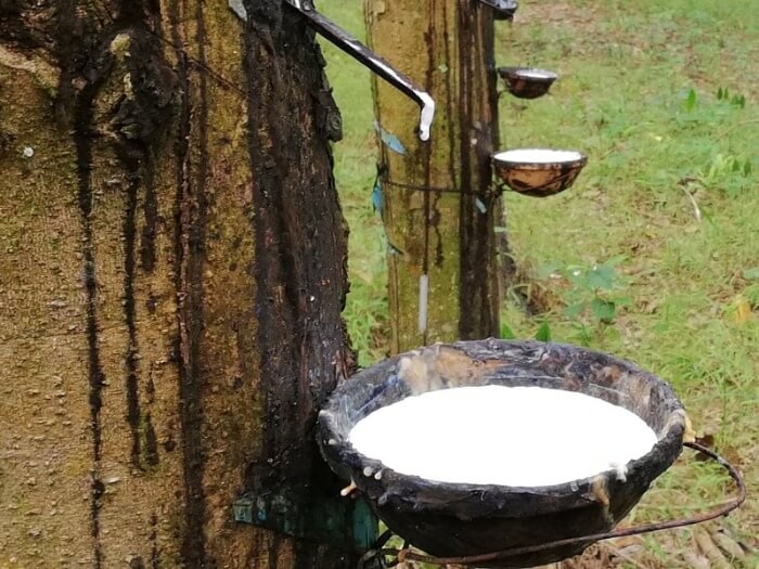 Đặc điểm và tính chất nổi bật của axit formic 