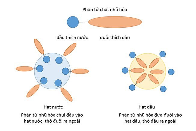 like-tường-la-gi-3