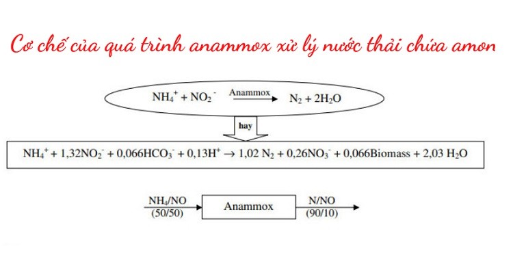 phuong-phap-anamox