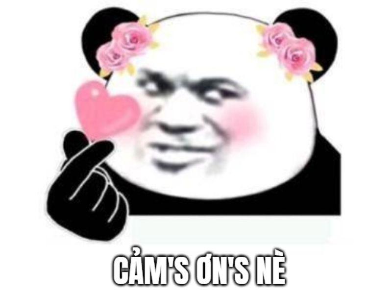 25-bạn-meme-cam-on-cute-meme-cam-on-ca-khia-cuc-manh-1396