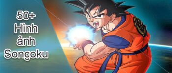 50 Ảnh Songoku Tổng hợp những hình ảnh đẹp nhất về nhân vật Songoku