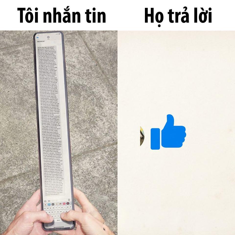 Hơn 999 bình luận ảnh hàng đầu