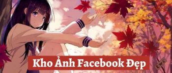 Ảnh Chế Facebook Bựa Nhất [361+ Ảnh Chế Fb Troll Hài Hước]