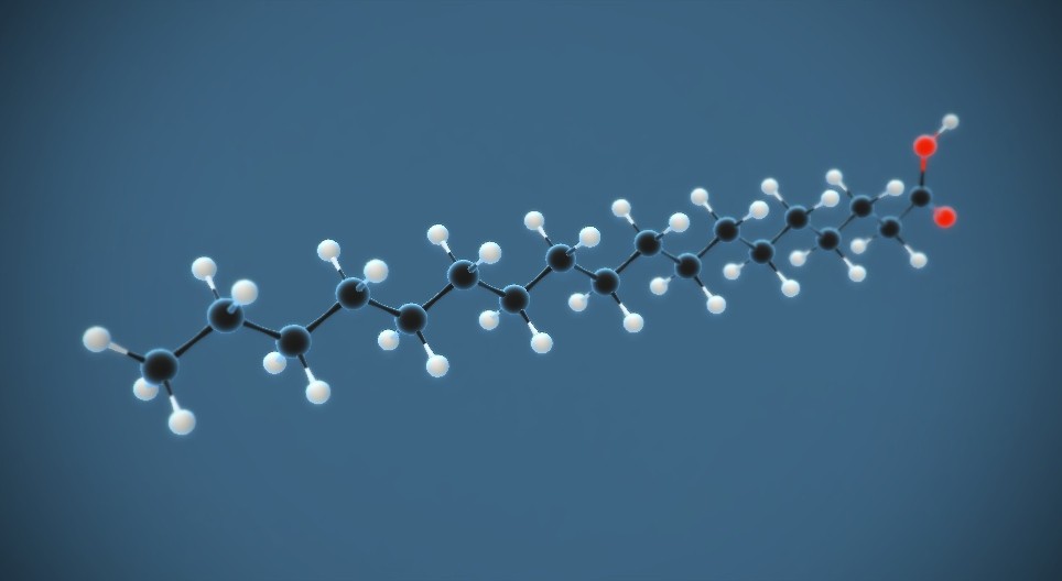 Cấu trúc phân tử của axit Stearic