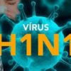 Bình Định ghi nhận 4 ca tử vong do cúm A(H1N1)pdm, Bộ Y tế đề nghị xử lý triệt để, hạn chế lây lan diện rộng