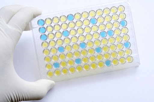 Đĩa Elisa là gì?