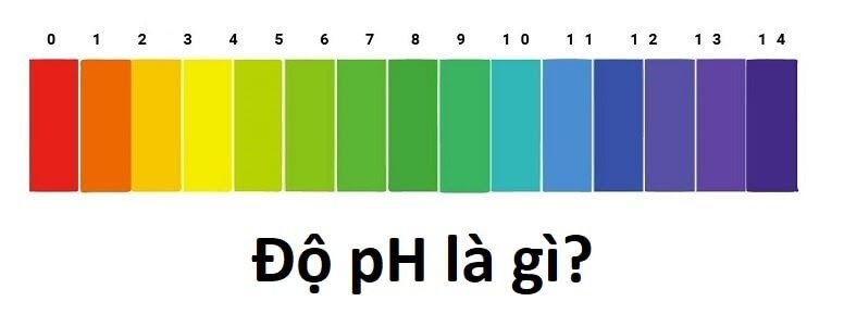 pH là gì?