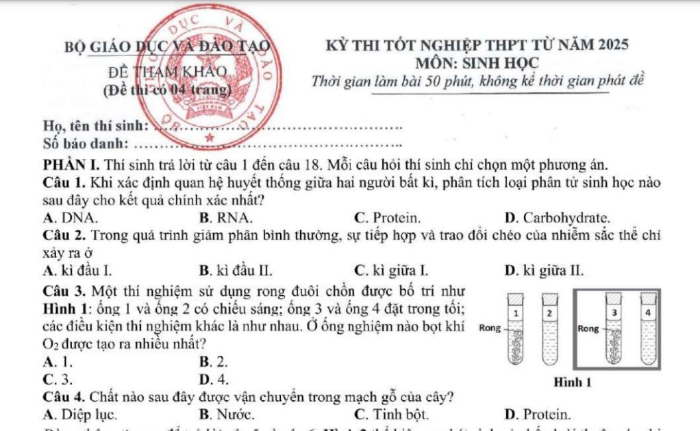  Giáo viên gợi ý lời giải cho câu hỏi khó nhất trong đề tham khảo môn Sinh học 