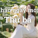 Tràn đầy năng lượng cho ngày thứ Ba làm việc hiệu quả với những hình ảnh đẹp