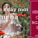 Hình Ảnh Chào Ngày Mới Thứ 4 [107+ Hình Chúc Thứ Tư Vui Vẻ Đẹp]