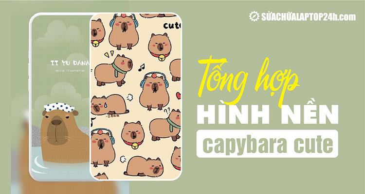 Tổng hợp 50+ hình nền capybara dễ thương cho điện thoại và máy tính