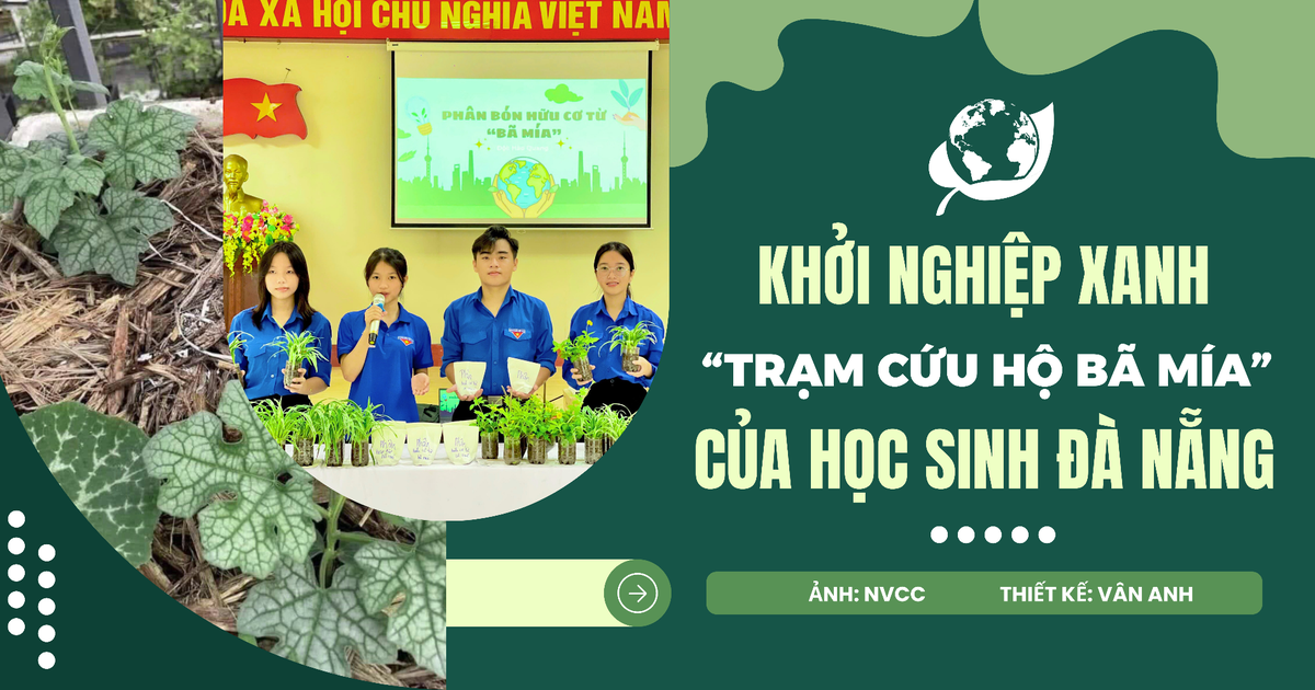 Vì một Việt Nam xanh khởi nguồn cho “Trạm cứu hộ bã mía” của nhóm HS Đà Nẵng