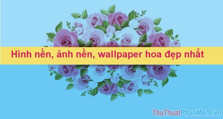 Tổng hợp hình nền hoa đẹp nhất