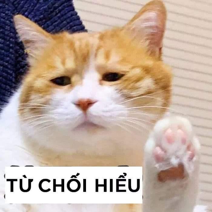 Danh sách các meme bất lực hài hước