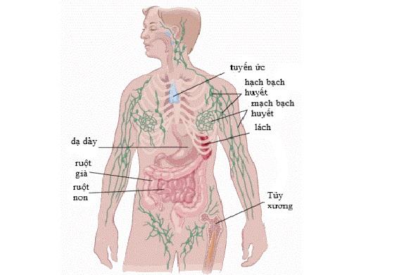 Một phụ nữ ở Yên Bái bất ngờ phát hiện dấu hiệu ung thư khi đang mát-xa. Ai có những dấu hiệu này cần phải cảnh giác! - Ảnh 2.