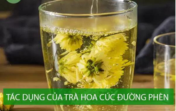 Tác dụng của trà hoa cúc đường phèn