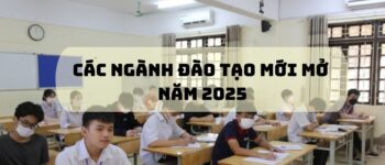 CSGDĐH dự kiến mở thêm nhiều ngành, chương trình đào tạo đại học mới từ năm 2025