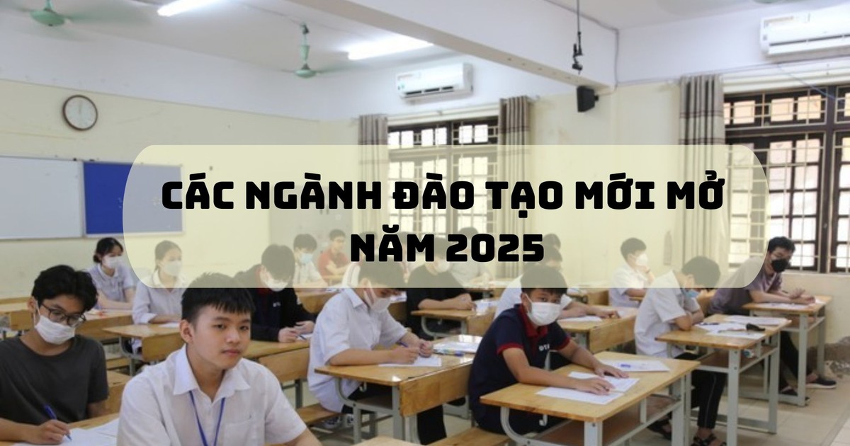  CSGDĐH dự kiến mở thêm nhiều ngành, chương trình đào tạo đại học mới từ năm 2025 