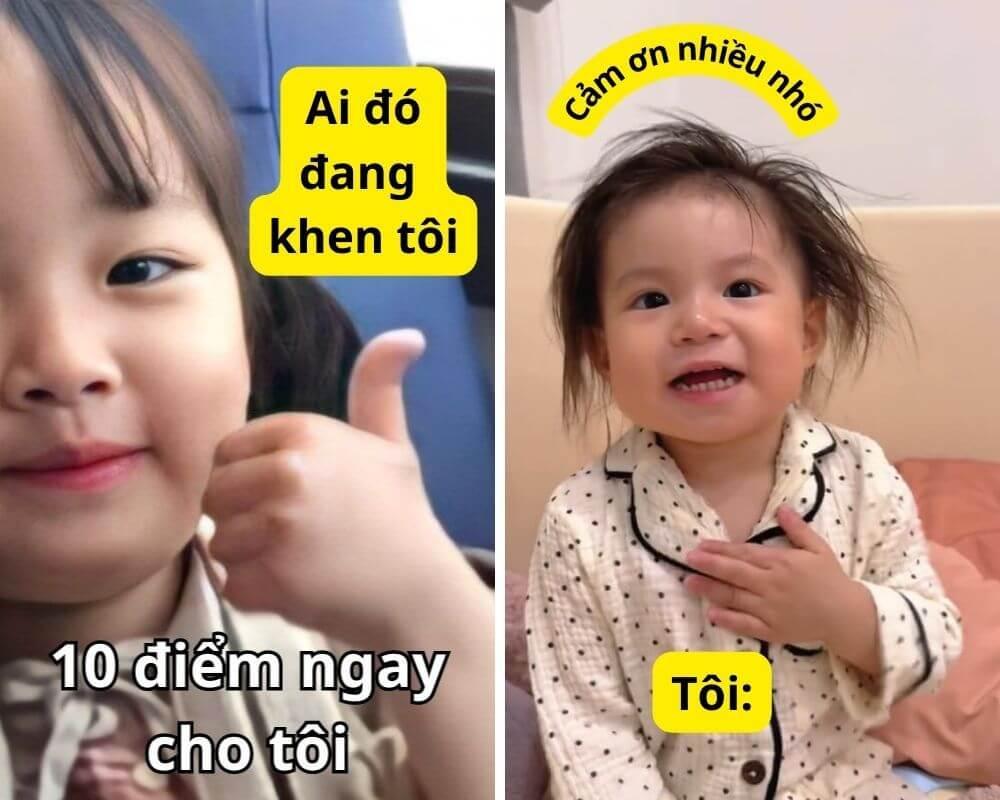 Cảm ơn các mem