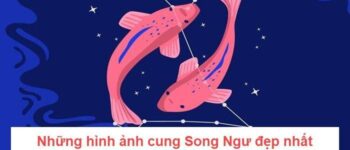 Những bức tranh tuyệt vời của cung Song Ngư