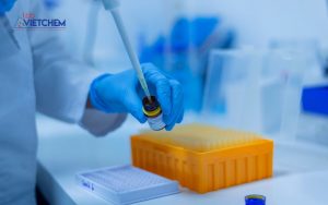 Pipet tip là gì? Phân loại và Cách lựa chọn đầu tip phù hợp