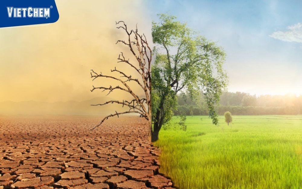 thay đổi khi nào