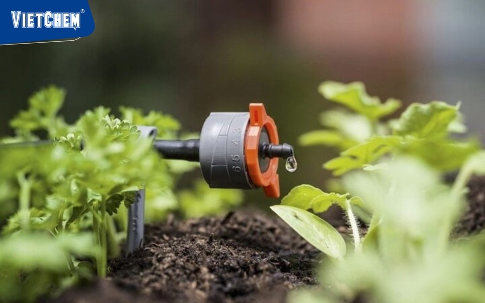 he-thong-tuổi-nho-giot