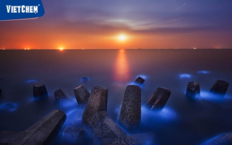 bo-bien-thanh-pho-dong-dinh