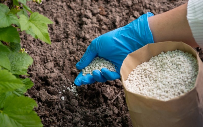 phan-bon-nong-nghiep