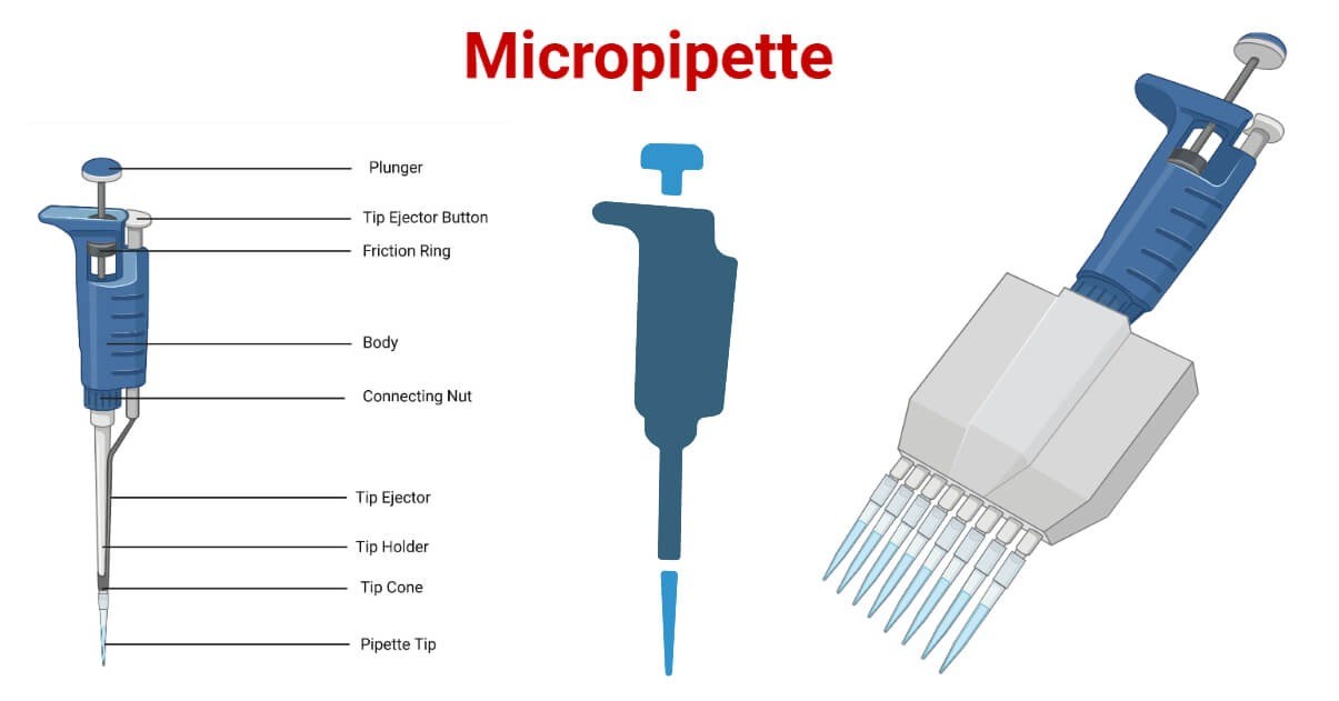 Cấu tạo của Micropipette