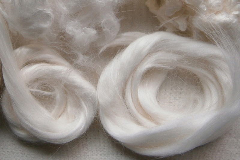 Cellulose là hợp chất phong phú trên trái đất