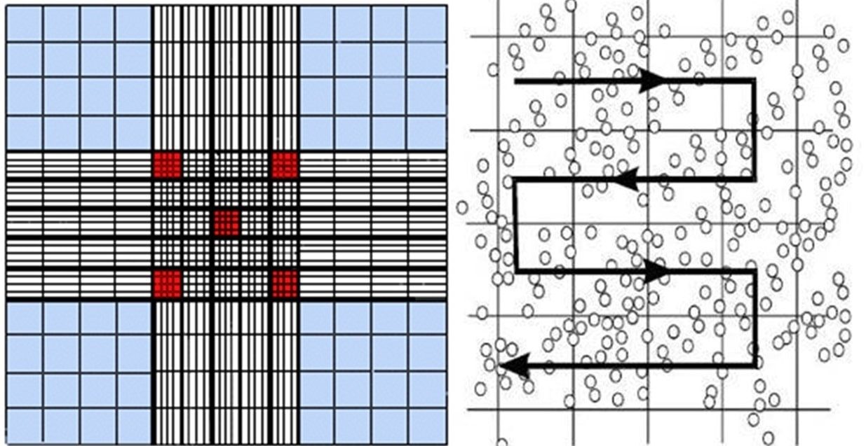 Cách nhận biết tế bào trực tiếp bằng buồng đếm hồng cầu