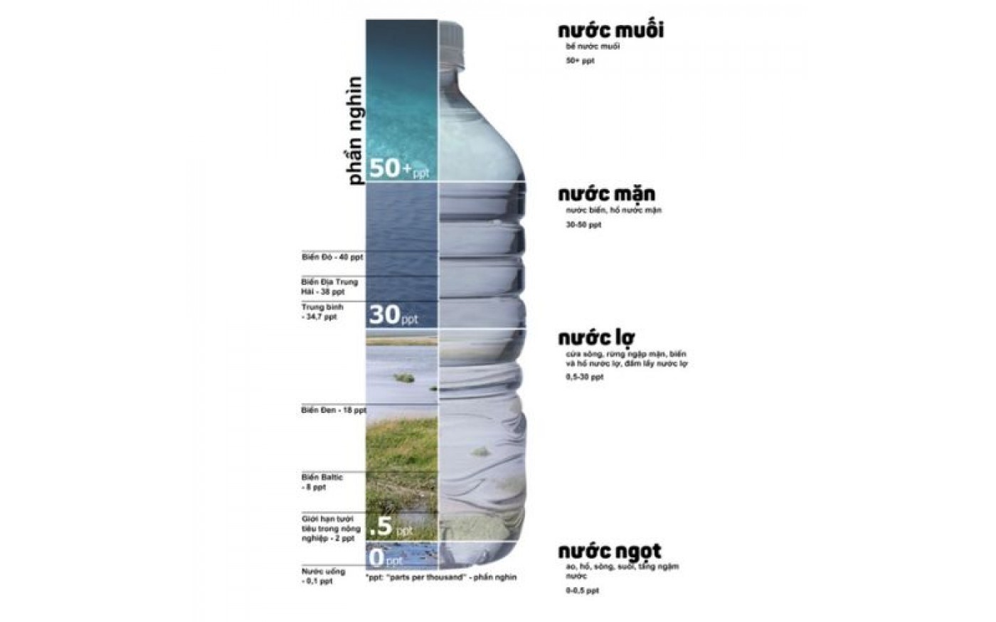 Thành phần trong nước biển