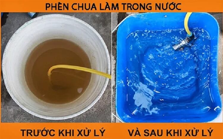 phen-chua-trong-nước