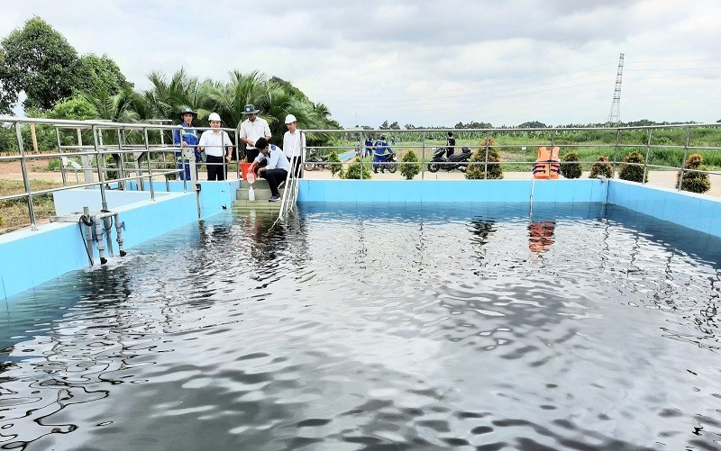 Các biện pháp hạn chế mưa axit