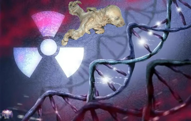 Bức xạ ảnh hưởng đến DNA và RNA