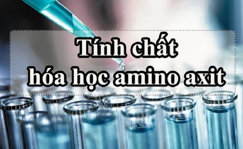 Tính chất hóa học của axit amin