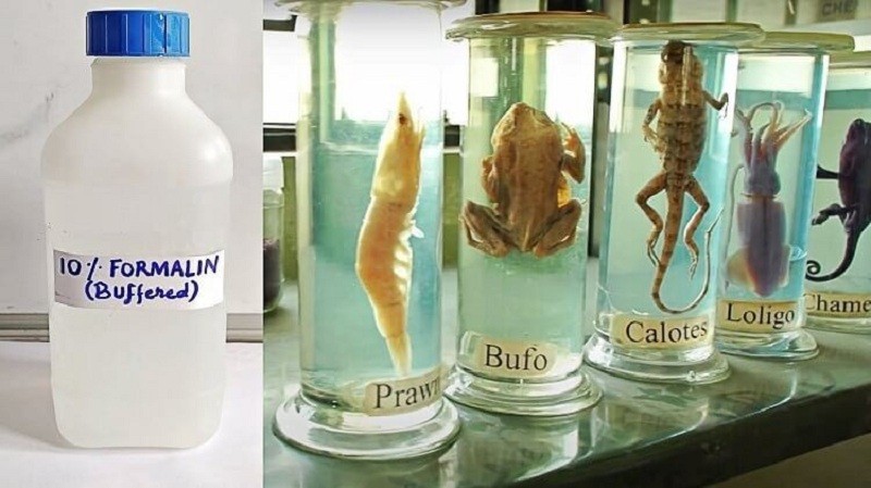 Trong y học Formalin là dung dịch ướp xác
