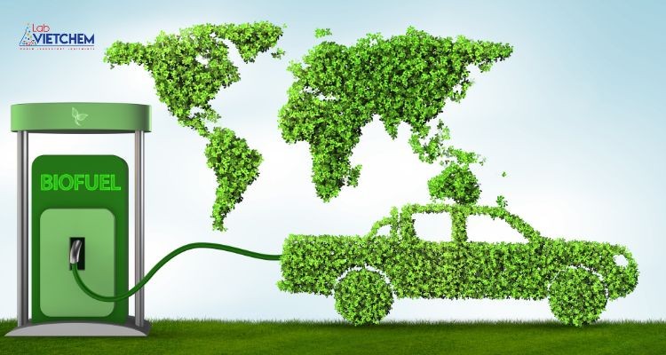 Xăng E5 thân thiện với môi trường