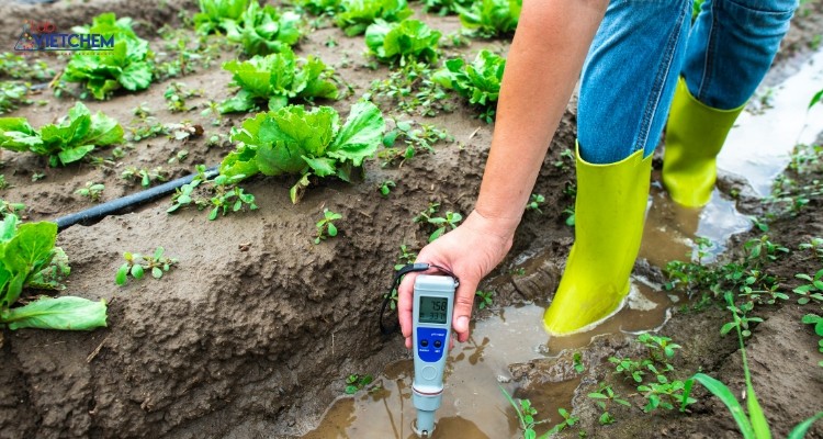 Xác định pH bằng máy đo PH