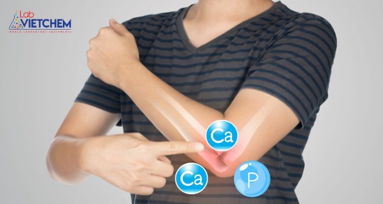 Ca3(PO4)2 có mặt trong các thành phần của xương