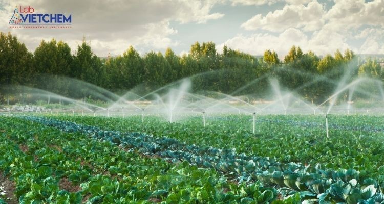 Kết hợp tưới nước hợp lý giúp cây trồng khỏe mạnh