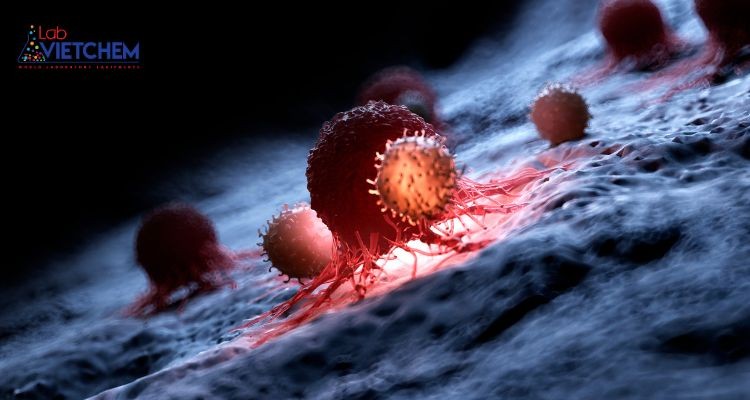 Hợp chất Stirene có thể gây ung thư