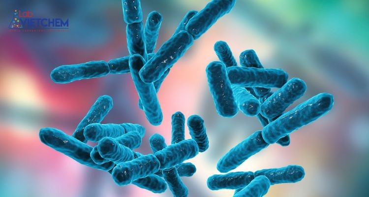 hoạt độ nước của vi sinh vật